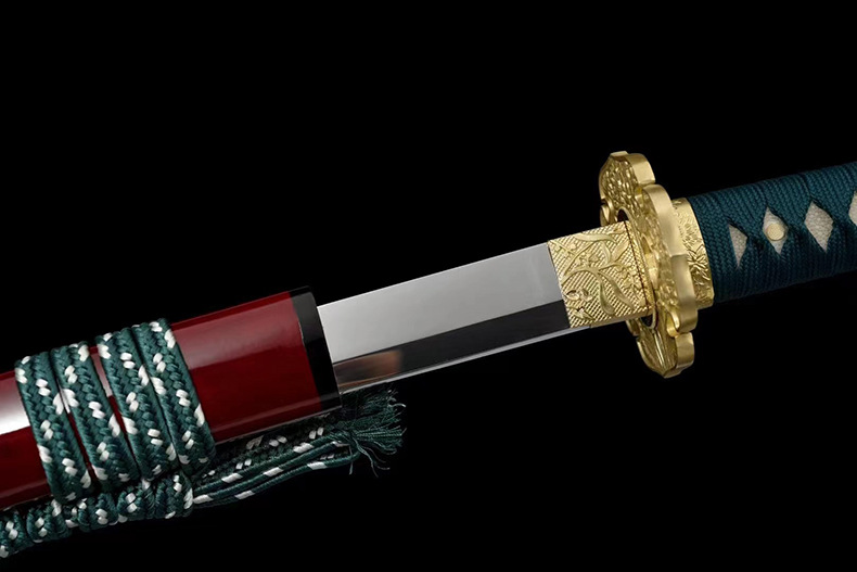 WeChat picture_20240514194139.jpg