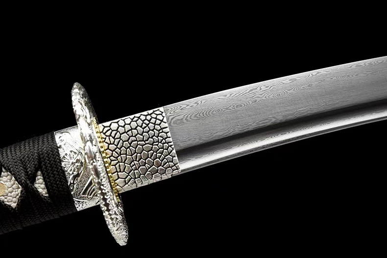 WeChat picture_20230723122643.jpg